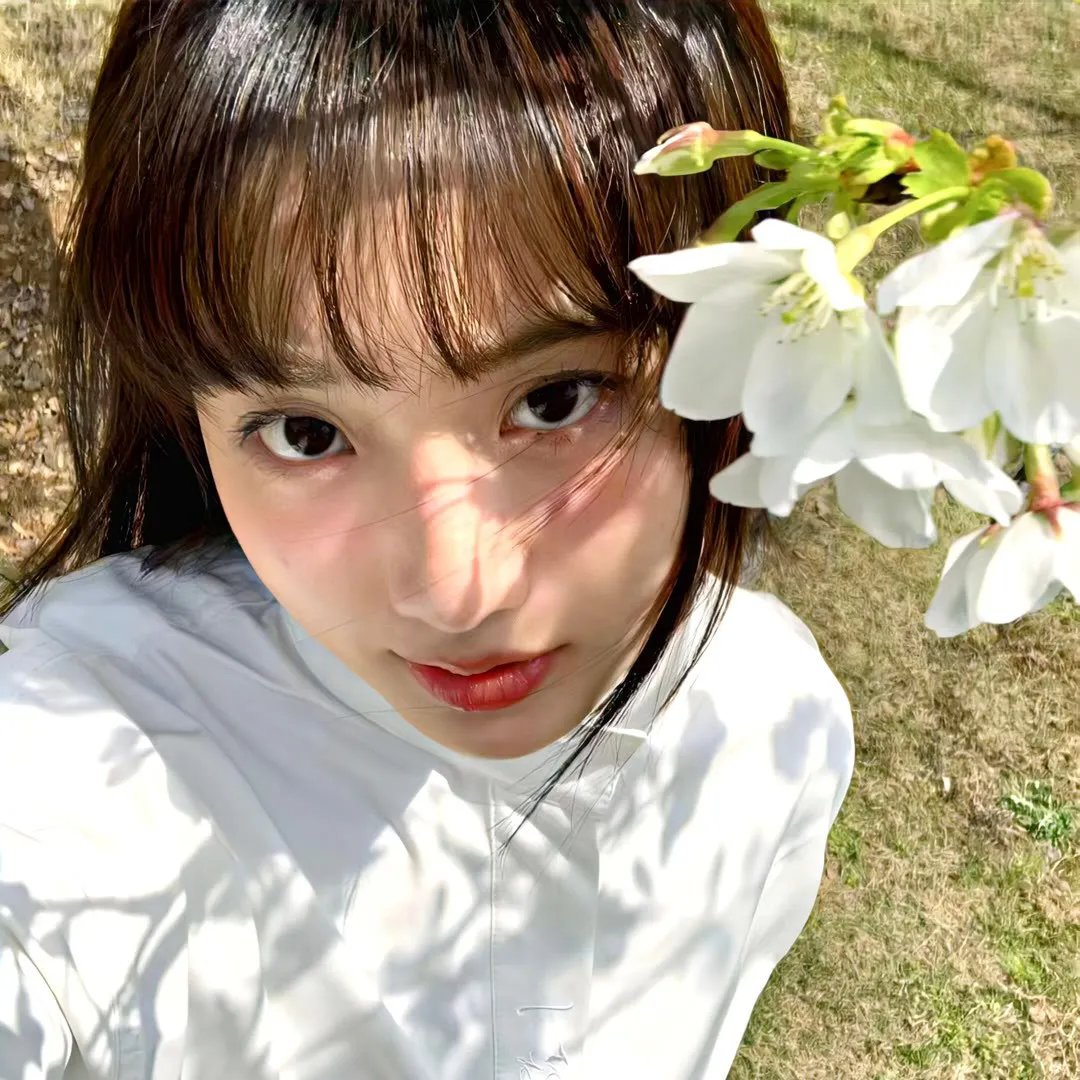 琼楼梦