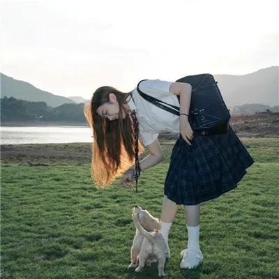 牵牛花
